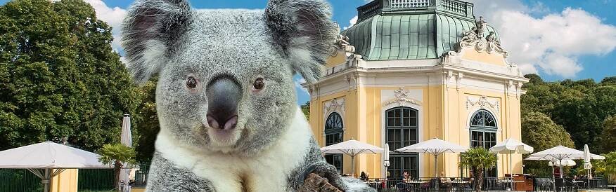 Tiergarten Schönbrunn