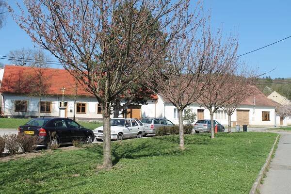 Řícmanice