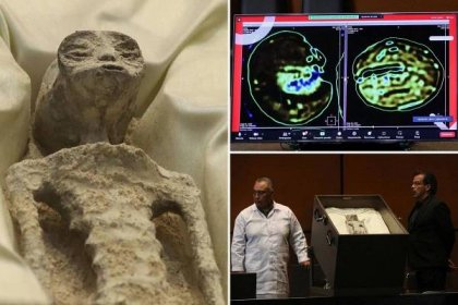 UFO expert displays supposed ‘non-human' alien corpses in Mexico's Congress: 'We are not alone'