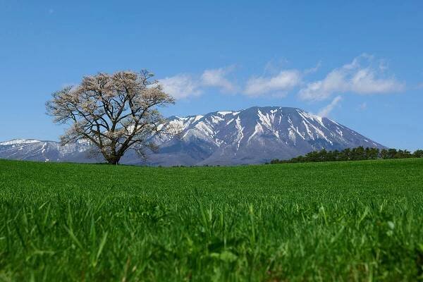 Iwate Prefecture – Tippsy Sake