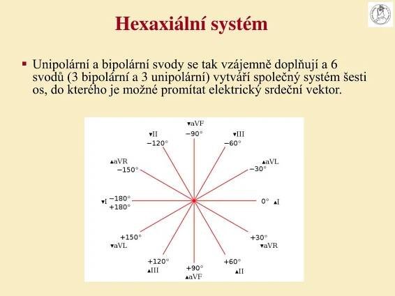 PPT - ELEKTROKARDIOGRAFIE PowerPoint Presentation, free download - ID:7040613