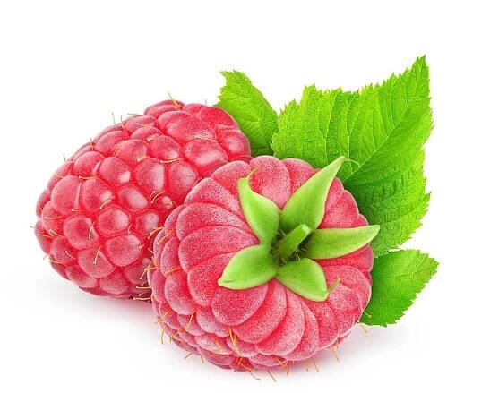 Raspberry - Japonský topol