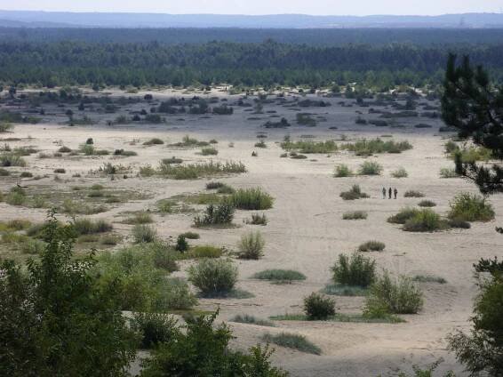 Pustynia Błędowska – Polska Sahara
