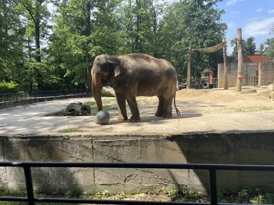 Zoologická a botanická zahrada Liberec | Slevomat.cz