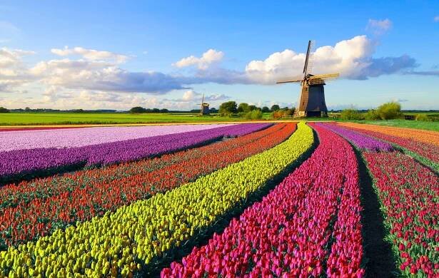 Best of Holland Tour 2025