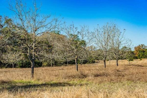 Kendall County | Black Creek Ranch | E of Boerne | Texas Ranches For Sale