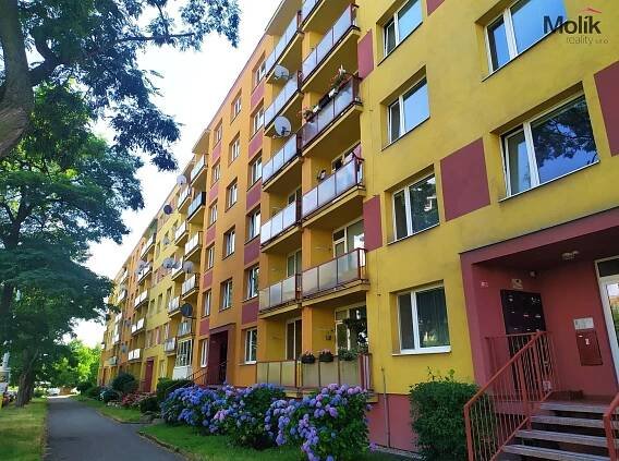Pronájem Byt 1+1, Mostecká, Horní Litvínov, Litvínov, Most