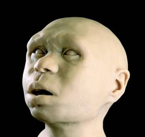 Homo antecessor - rekonstrukce obličeje