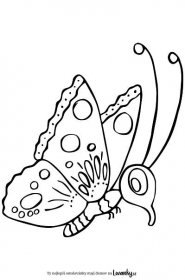 Omalovanky Motyl