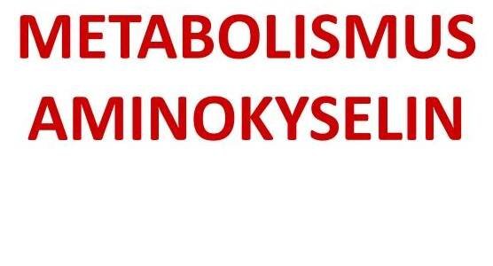 PPT - Aminokyseliny PowerPoint Presentation, free download - ID:4776495