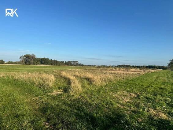 Prodej Pozemek, Libice nad Cidlinou, okres Nymburk