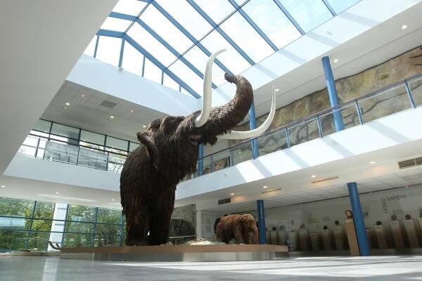 Prvního máje pokvete láska i v Anthroposu. Mamut oslaví devadesátku