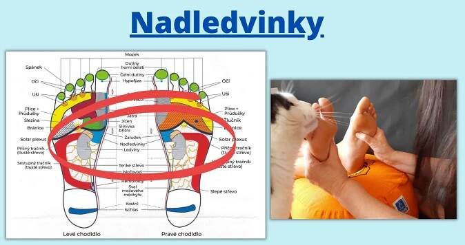 Z pohledu reflexky | Soňa Weigand