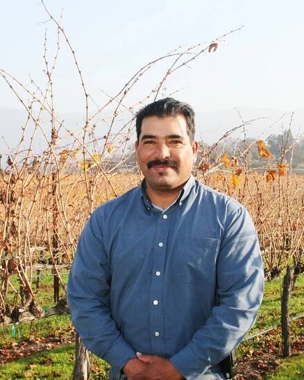 Javier Hernandez Pena — Garvey Vineyard Management - Napa & Sonoma Farming