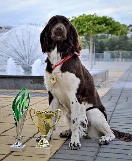 MVP Intercanis Brno 2018