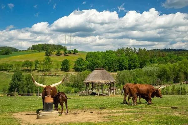 Farmapark Soběhrdy příroda