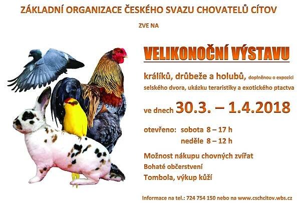 Velikonoční výstava .jpg