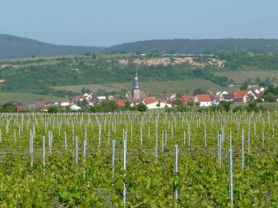 Kallstadt