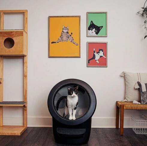 Meet the Litter-Robot 4, a self-cleaning litter box for cat parents