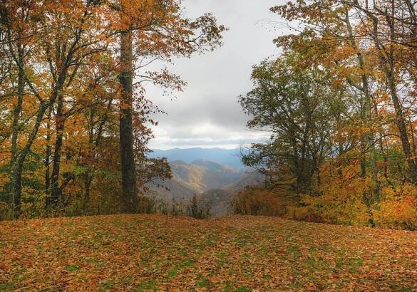 North Carolina fall activities