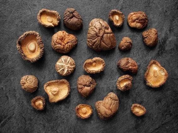 True Shiitake