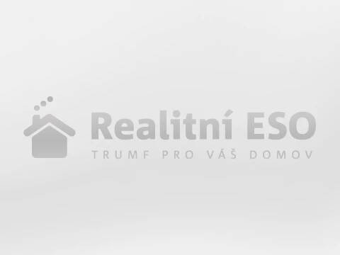 Dražba, dům, 300 m2, Březová, Lobzy, Budovatelů Realitní ESO 