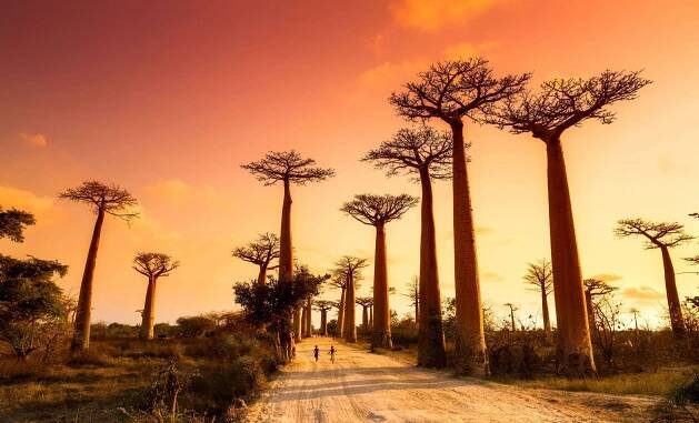 Počasí Madagaskar