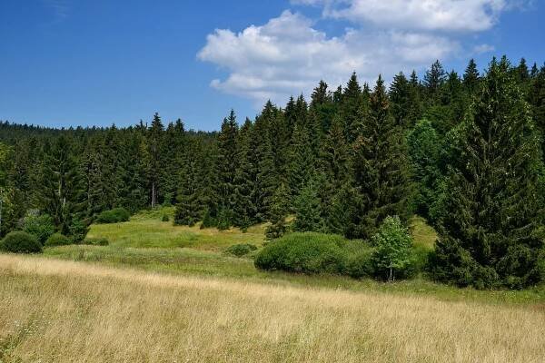 Otovský potok - Wikiwand