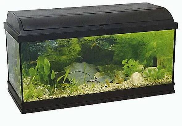 Pacific 100 akvárium s výbavou 120 l 100 × 30 × 40 cm 30 W