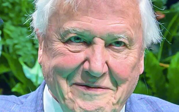 Galerie: V boji za klima jsme dospěli do krizového momentu, varuje britský přírodovědec Attenborough - Galerie - Echo24.cz