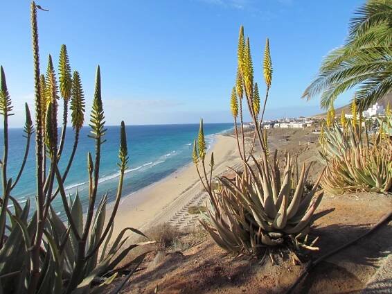 Fuerteventura - Morro Jable