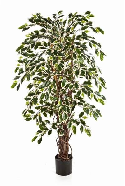 Ficus Liana umělý V 210 cm