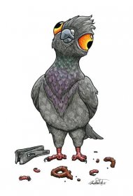 'Lesser-toed Pigeon'