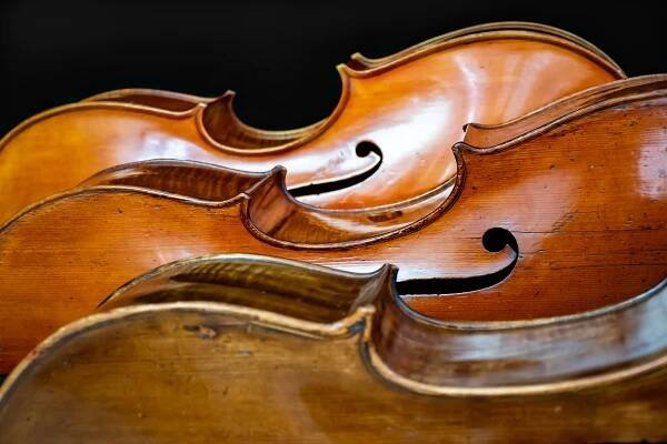 Prague Cello Quartet