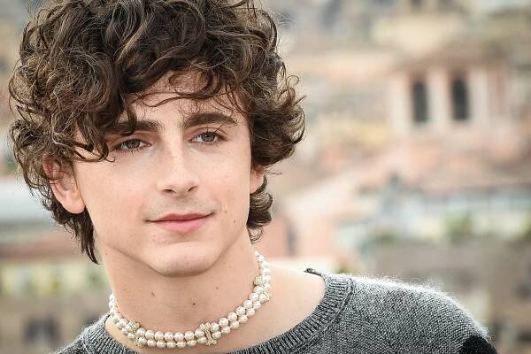 Timothee Chalamet Prepped for Bob Dylan for Two Years, Film Isn't Dead