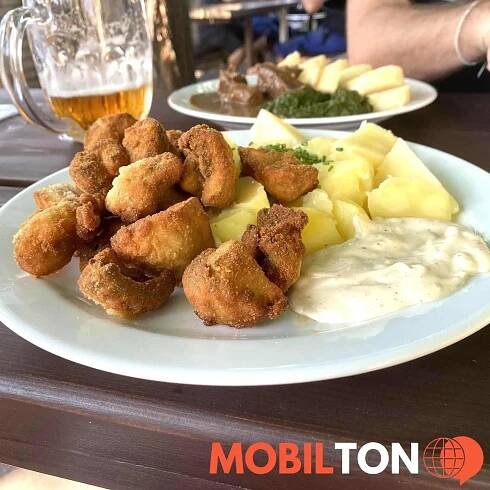 Pohostinství Sokolovna - Velvarská 300 - restaurace v velvarská 300