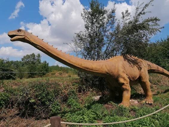 Fotografie - Dinopark - 31.07.2022