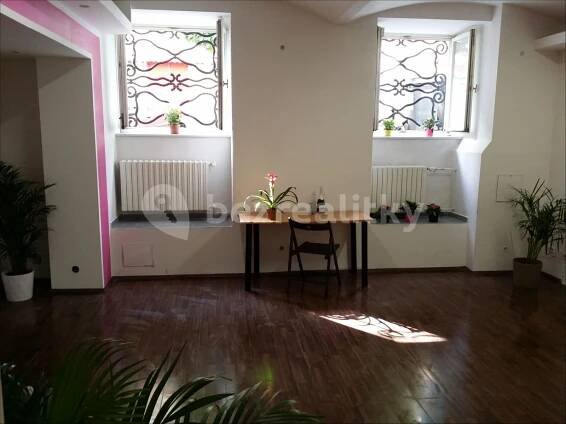 Pronájem nebytového prostoru 180 m², Žitomírská, Praha, Praha