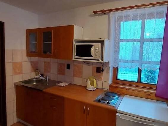 Apartmán pro 4 osoby - Trpišovice - foto 11