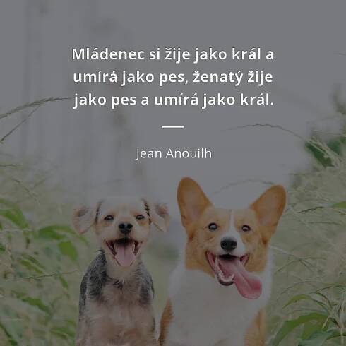 Jean Anouilh citát: „Mládenec si žije jako král a umírá jako pes, ženatý žije jako pes a umírá jako král.“