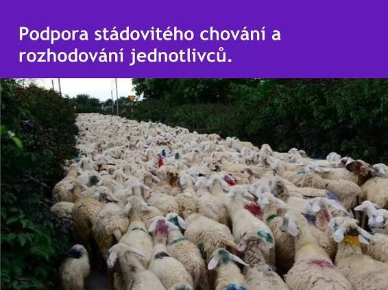 Podpora stádovitého chování a
rozhodování jednotlivců.
 