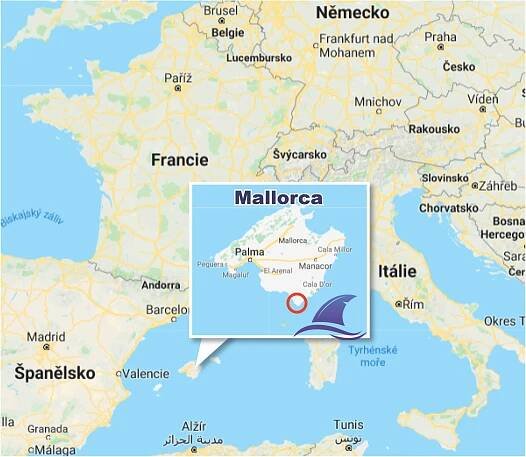V oblíbené destinaci Čechů vyfotili velkého bílého žraloka! Má 5 metrů | TN.cz