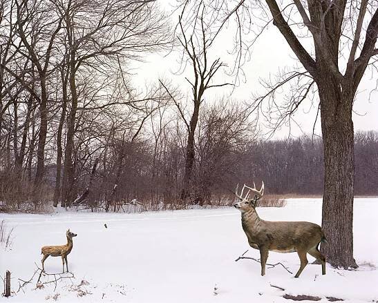 Brian Andrews | Filmmaker & Visual Technologist | Portfolio