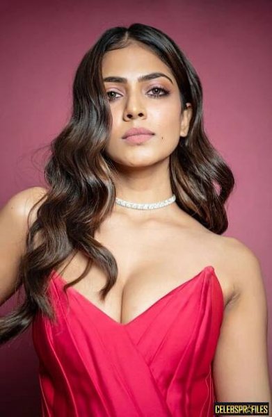 Malavika Mohanan Wiki, Height, Movies and Biography 11