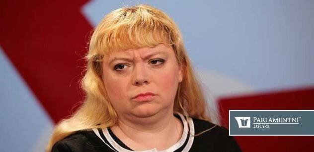Zemanovce na Vysočině povede ve volbách ekonomka Švihlíková