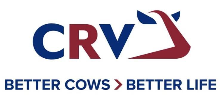crv2.jpg