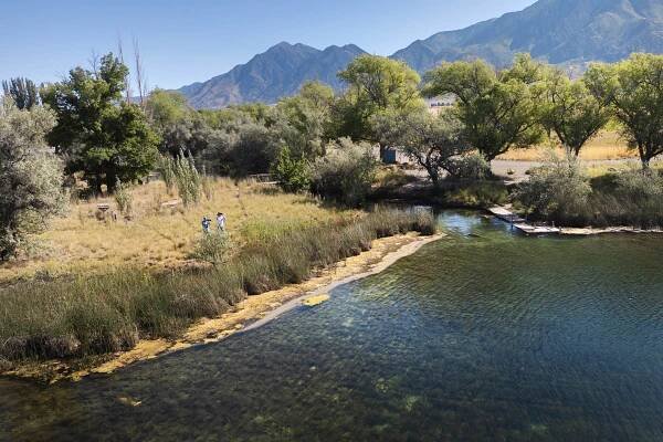 Juab County: Where Every Bird Tells a Story - Birding in Juab, UT