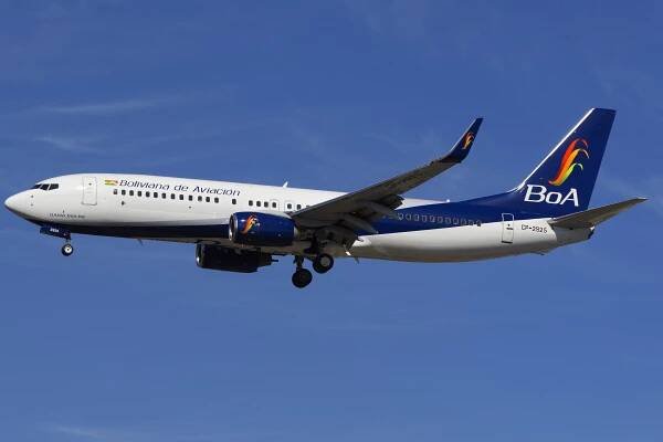 Pilot aborts takeoff after Boeing 737 hits pack of dogs