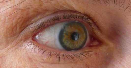Oči jako ostříž: 6 jednoduchých metod, jak přirozeně zlepšit svůj zrak a vidět jako zamlada