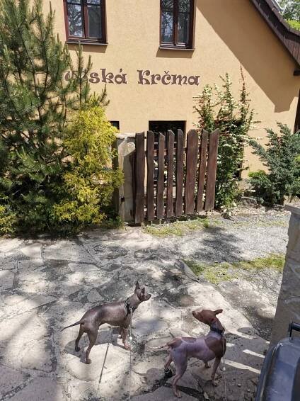 Šárka - výlet Gutský vršek z Řeky - Vrcholovka.cz